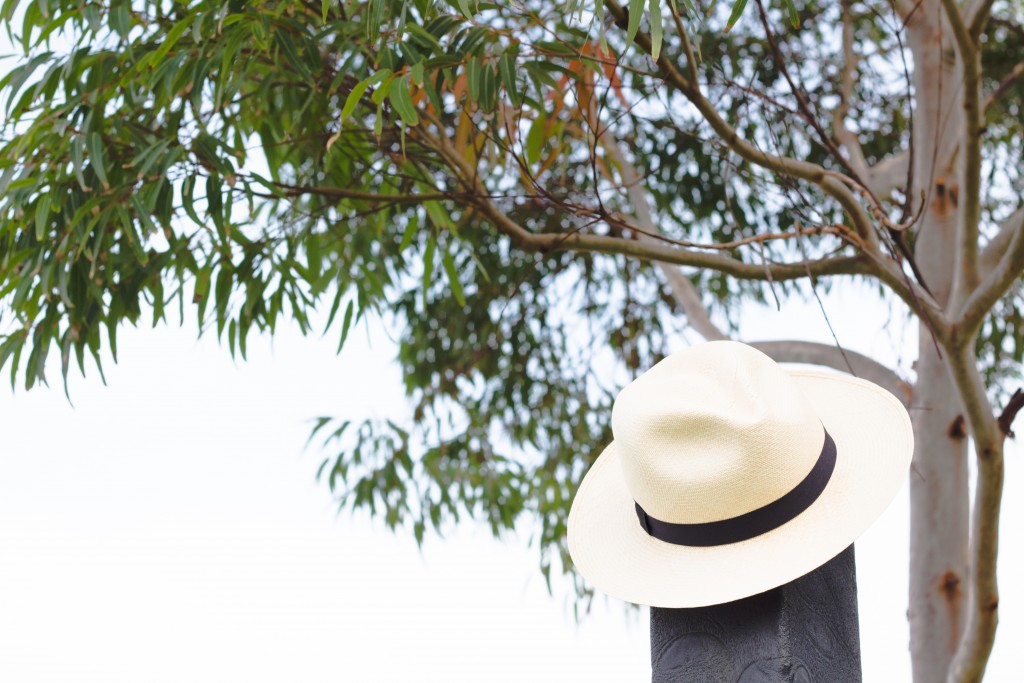 Panama Hat David Nguyen The Hounds 1